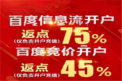 SEM营销案例：电商平台的流量密码